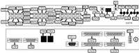ADC KENTROX &nbsp; DATASMART MODEL 78772